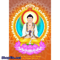 Hình Dược Sư Lưu Ly Quang Vương Phật